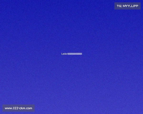 Lastar锋芒正盛，蓄势待发新征程